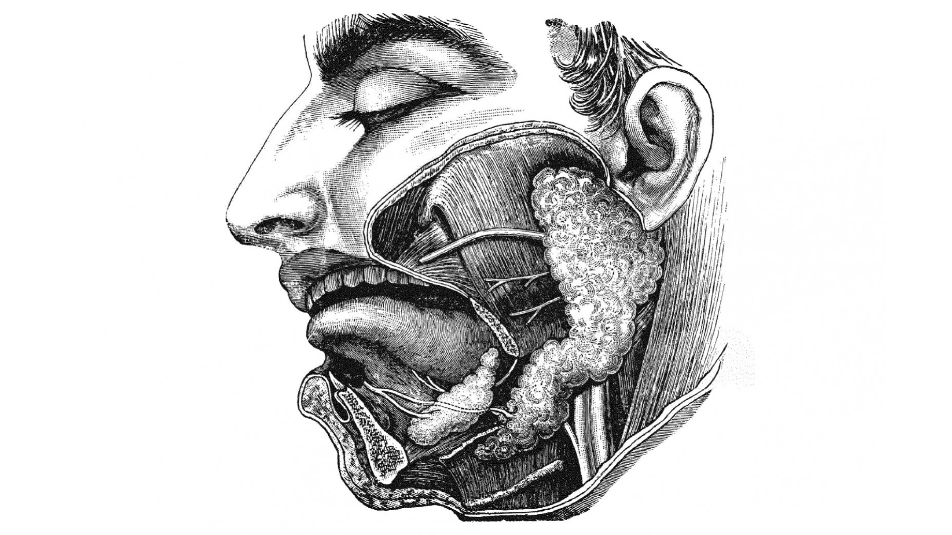 Imaginación política