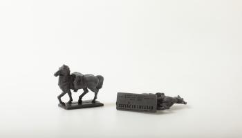 LIBRE actividad para web 