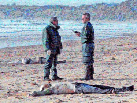 Joan Fontcuberta - Googlegrama: Inmigrants 2005