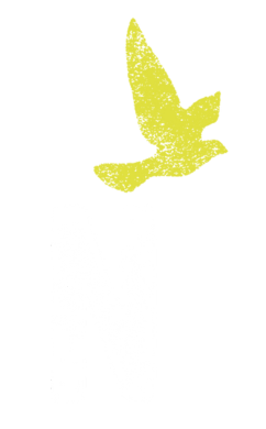 España en libertad 50 años